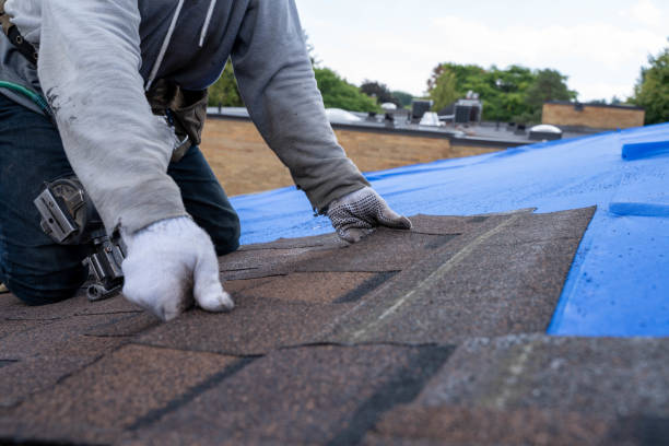 Best Gutter Installation and Roofing  in Pennington Gap, VA